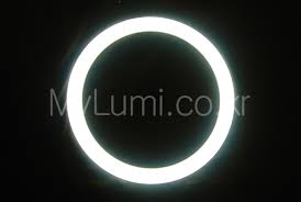 ìí ë£¨ë¯¸ì¤íì´ì¤ì ëí ì´ë¯¸ì§ ê²ìê²°ê³¼